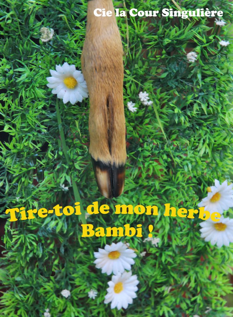 Tire-toi de mon herbe Bambi !